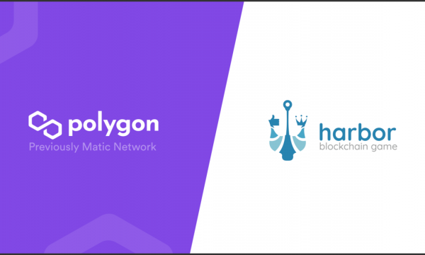 ハーバー・ビーシージーがPolygonに対応
