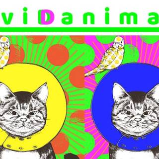 アーティストD[di:]がNFTアート「viviDanimals」をリリース