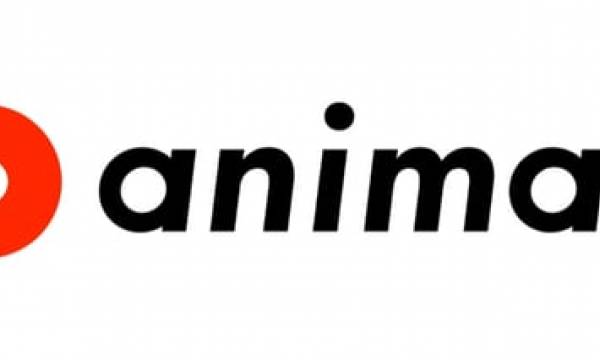パブリックチェーンを活用したNFTマーケットプレイス「animap」がローンチ