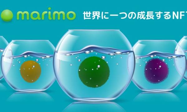 アル株式会社、成長するNFT「marimo」パブリックセール開始