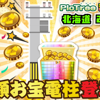 ピクトレ、10万円相当のDEPが当たる「高額お宝電柱」を函館に設置