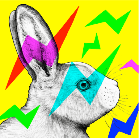 Thunder Rabbit