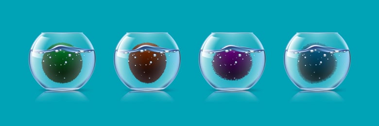 アル株式会社、成長するNFT「marimo」パブリックセール開始