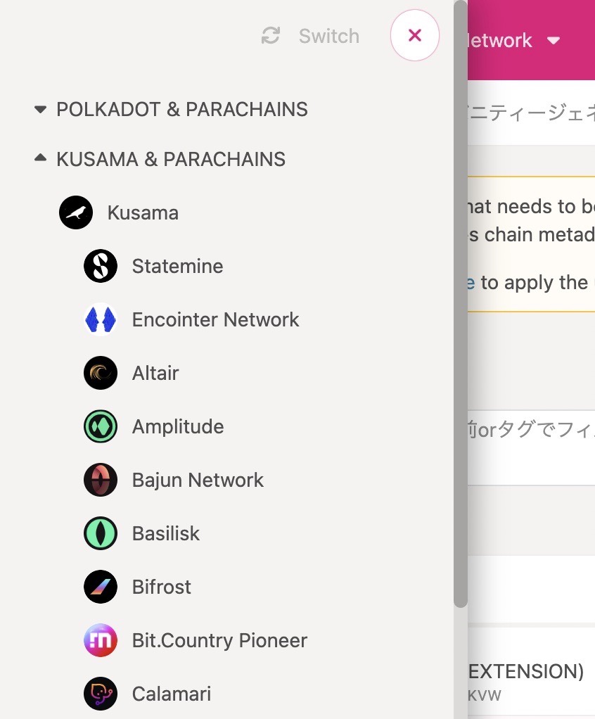 Polkadot{.js} の使い方とウォレット残高確認について解説、SDNの入金方法も