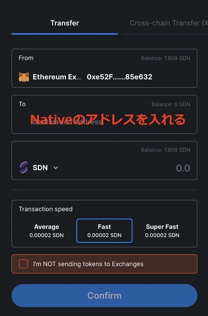 Polkadot{.js} の使い方とウォレット残高確認について解説、SDNの入金方法も