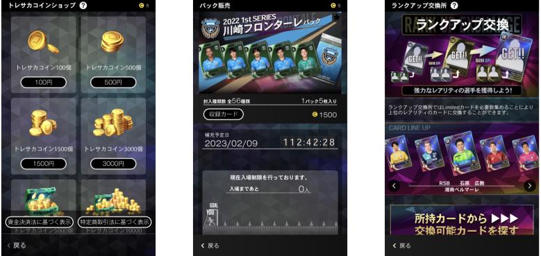 トレサカ：パック購入